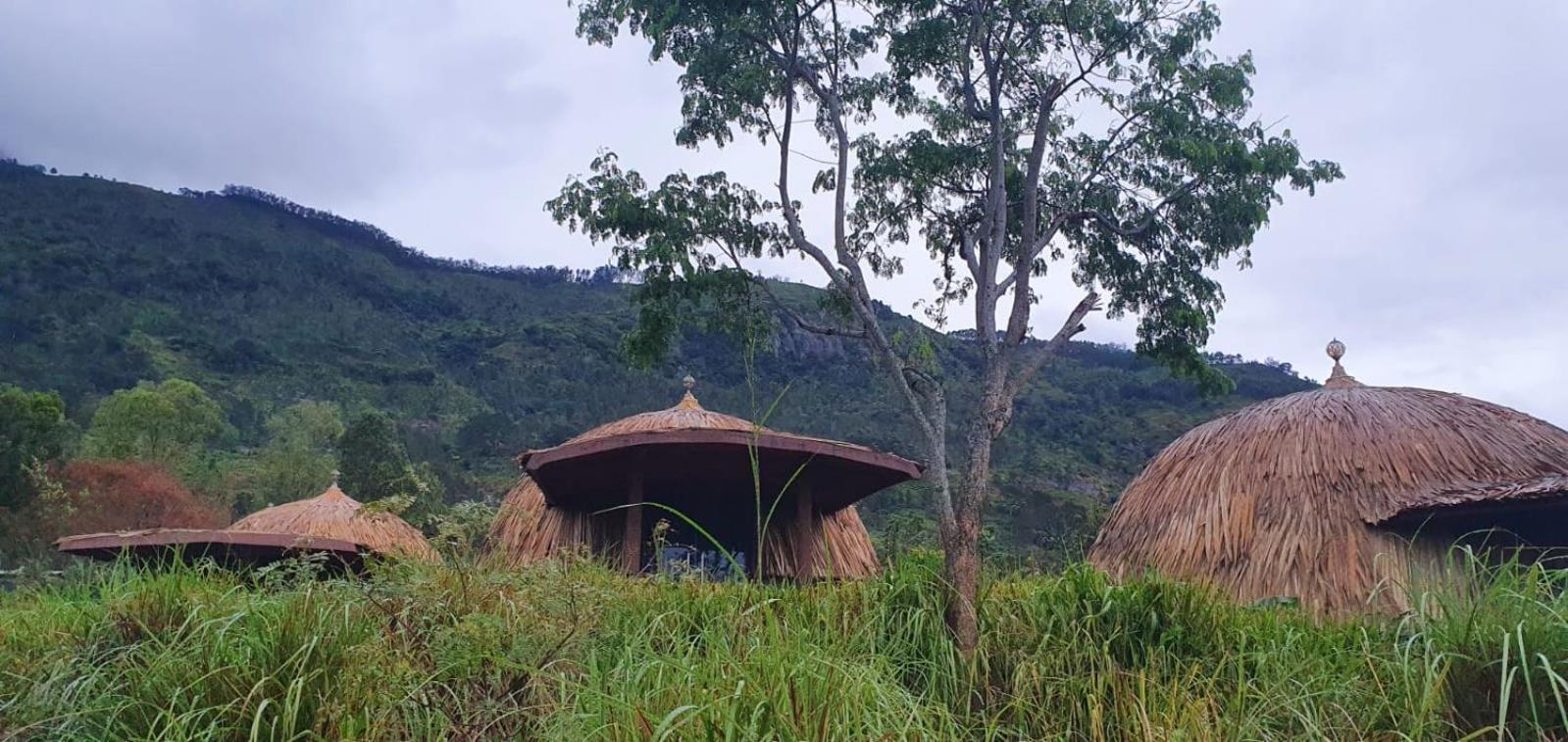 Dream Cliff Mountain Resort 哈普特莱 外观 照片